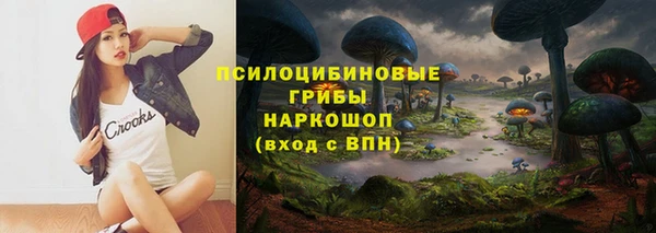ПСИЛОЦИБИНОВЫЕ ГРИБЫ Абаза