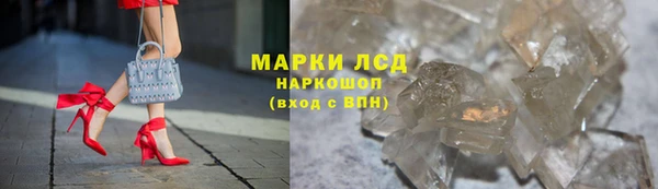 ПСИЛОЦИБИНОВЫЕ ГРИБЫ Абаза