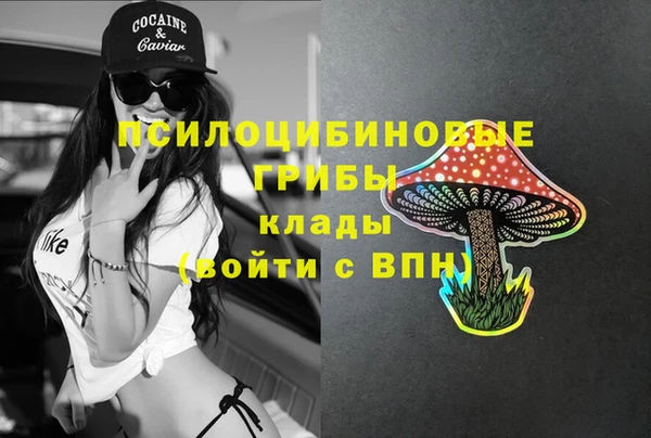 прущие крисы Абдулино